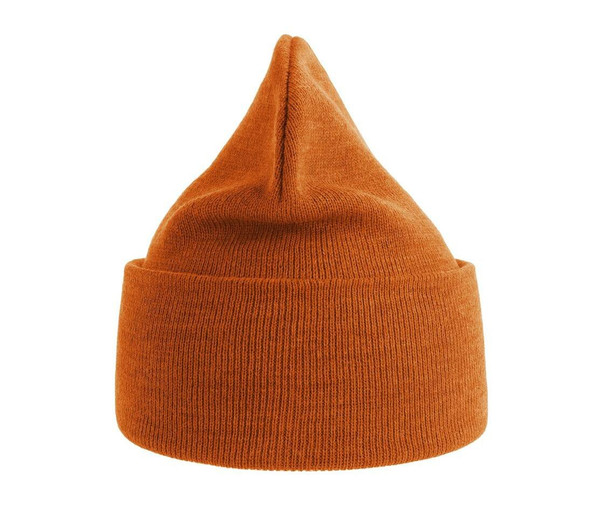 ATLANTIS HEADWEAR AT209 - Polylana® polyester beanie