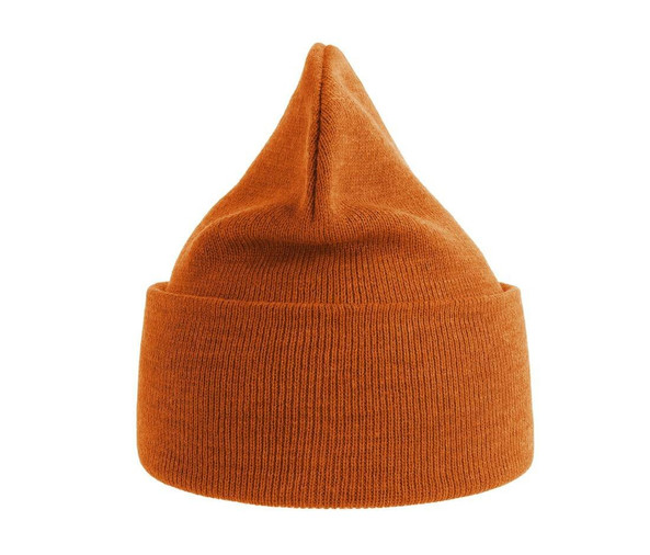 ATLANTIS HEADWEAR AT209 - Polylana® polyester beanie