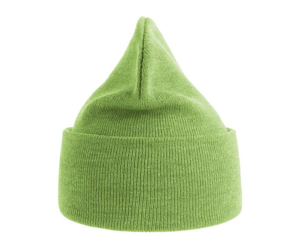 ATLANTIS HEADWEAR AT209 - Polylana® polyester beanie