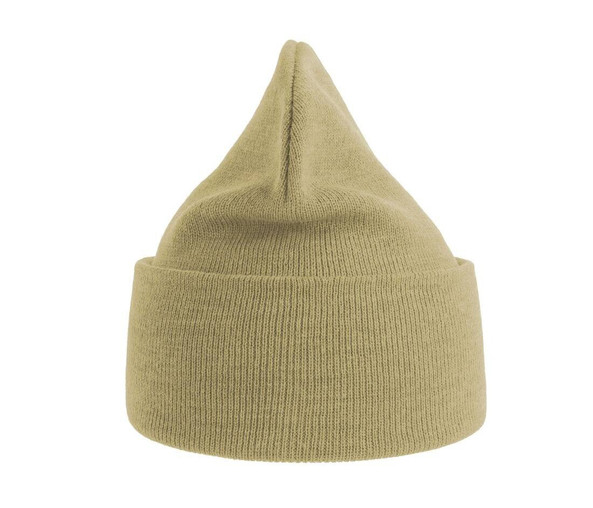 ATLANTIS HEADWEAR AT209 - Polylana® polyester beanie