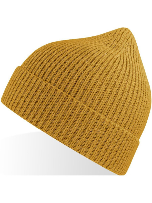 Atlantis ACANDB - Atlantis Andy Recycled Polyester Acrylic Beanie