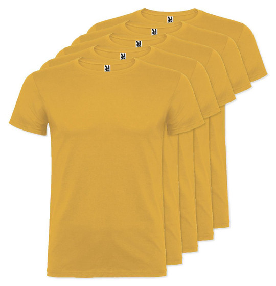 Pack of 5 Roly Workwear CA6554 - Beagle