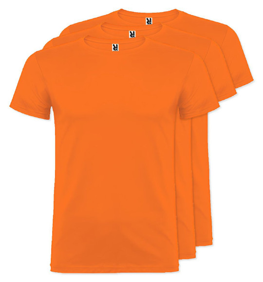 Pak van 30 Roly Workwear CA6554 - Beagle