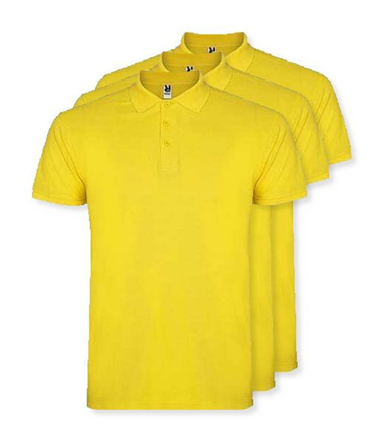 Pak van 30 Roly Workwear PO6638 - Star