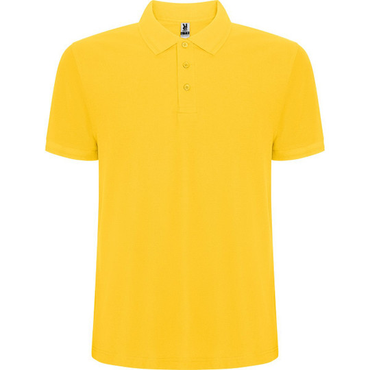 Roly PO6609 - PEGASO PREMIUM Short sleeved polo shirt with anti-pilling treatment