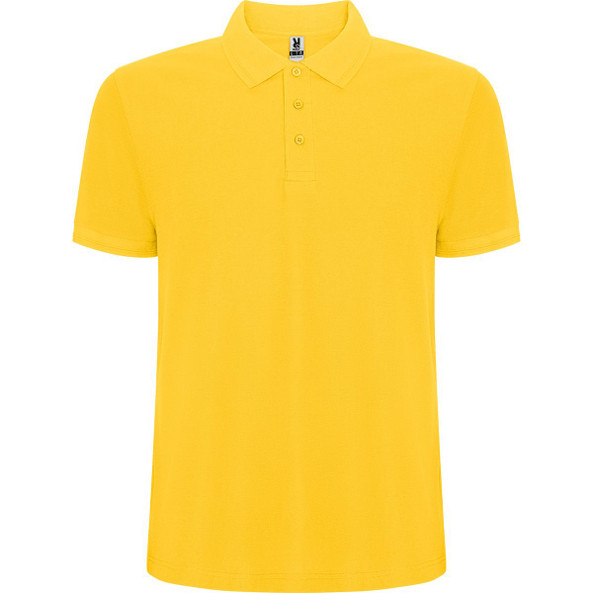 Roly PO6609 - PEGASO PREMIUM Short sleeved polo shirt with anti-pilling treatment
