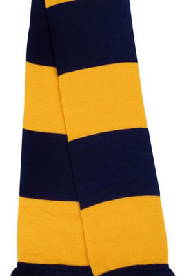 Result R146X - Premium Acrylic Team Support Scarf with Tassels