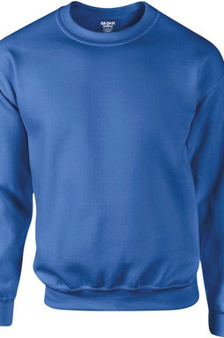 sweat shirt