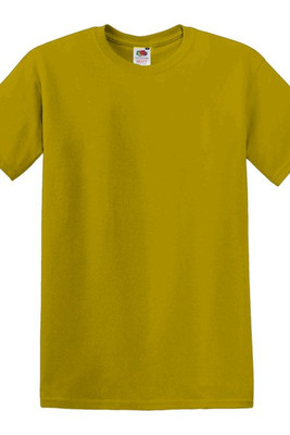 Fruit of the Loom SS048 - Premium Cotton Round Neck Men's T-Shirt