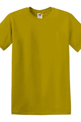 Fruit of the Loom SS048 - Premium Cotton Round Neck Mens T-Shirt