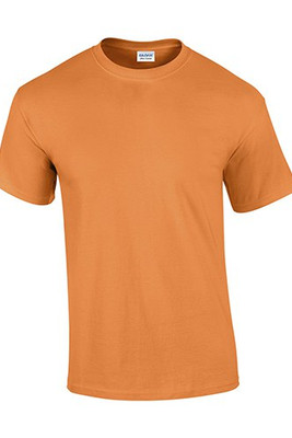 Gildan 2000 - Men's Ultra 100% Cotton T-Shirt 