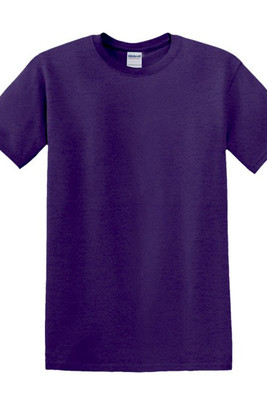 Gildan 5000 - Heavy Men's T-Shirt 