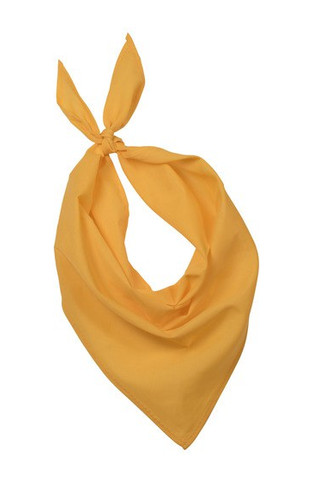 K-up KP064 - Élégance Colorée - Bandana en Polyester et Coton