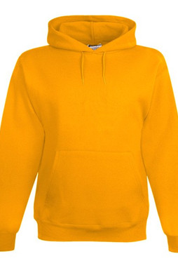Champion S700 - Eco Hooded Sweatshirt