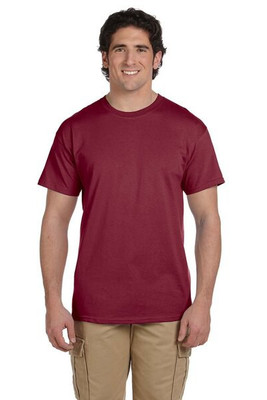 Hanes 5170 - ComfortBlend® EcoSmart® T-Shirt