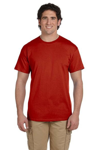 Hanes 5170 - ComfortBlend® EcoSmart® T-Shirt