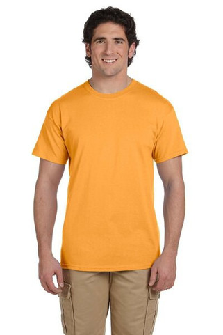 Hanes 5170 - ComfortBlend® EcoSmart® T-Shirt