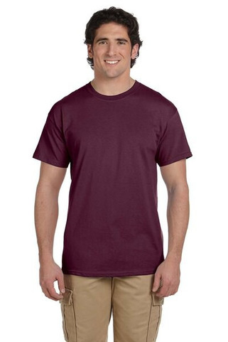 Hanes 5170 - ComfortBlend® EcoSmart® T-Shirt