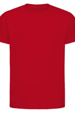 Next Level 3310 - Youth Premium Short-Sleeve Crew