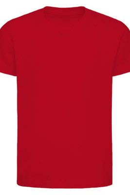 Next Level 3310 - Youth Premium Short-Sleeve Crew