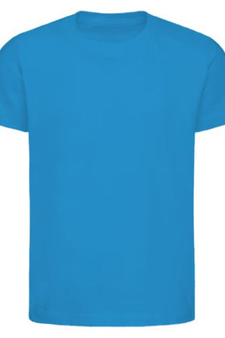 Next Level 3310 - Youth Premium Short-Sleeve Crew