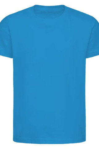 Next Level 3310 - T-shirt à manches courtes Premium Crew pour jeunes