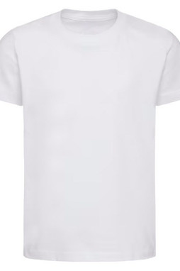 Next Level 3310 - Youth Premium Short-Sleeve Crew