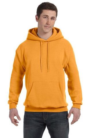 Hanes P170 - EcoSmart® Hooded Sweatshirt