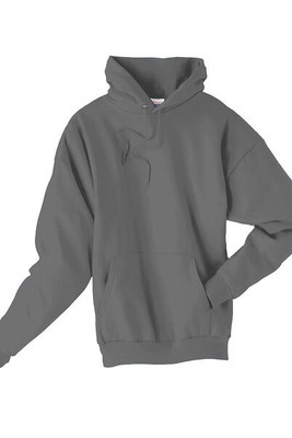 Hanes P170 - EcoSmart® Hooded Sweatshirt