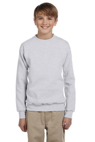 Hanes P360 - EcoSmart® Youth Sweatshirt