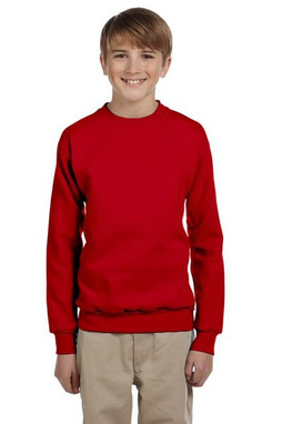 Hanes P360 - EcoSmart® Youth Sweatshirt