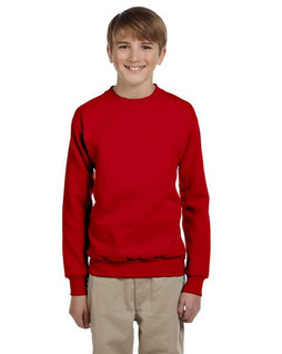 Hanes P360 - EcoSmart® Youth Sweatshirt
