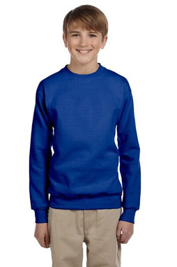 Hanes P360 - EcoSmart® Youth Sweatshirt