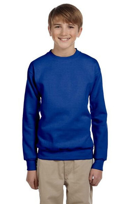Hanes P360 - EcoSmart® Youth Sweatshirt