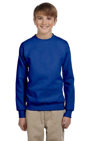 Hanes P360 - EcoSmart® Youth Sweatshirt
