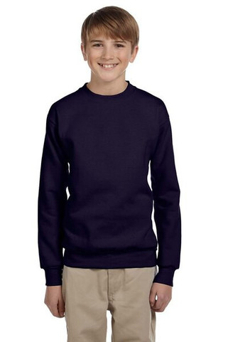 Hanes P360 - EcoSmart® Youth Sweatshirt