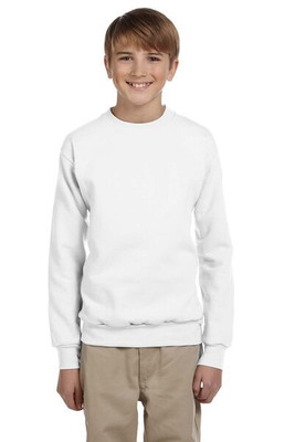 Hanes P360 - EcoSmart® Youth Sweatshirt
