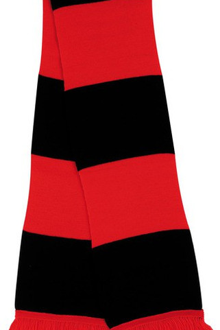 Result R146X - Premium Acrylic Team Support Scarf with Tassels