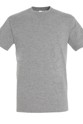 SOLS 11380 - REGENT Unisex Round Collar T Shirt