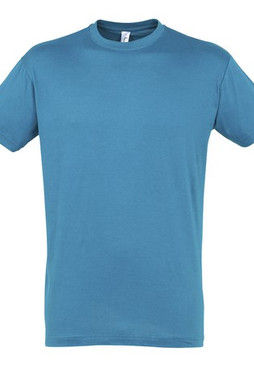 SOLS 11380 - REGENT Unisex Round Collar T Shirt