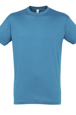 SOL'S 11380 - REGENT Unisex Round Collar T Shirt