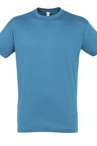 SOLS 11380 - REGENT Herren Rundhals T Shirt