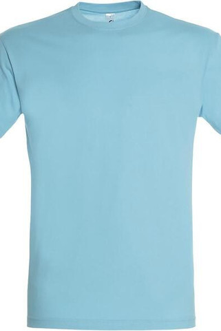 SOLS 11380 - REGENT Unisex Round Collar T Shirt
