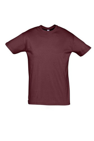 SOLS 11380 - Unisex Round Collar T-Shirt Regent