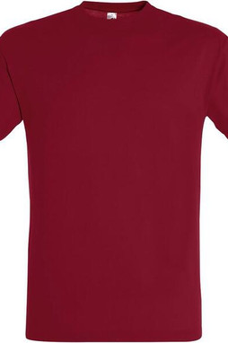 SOLS 11380 - REGENT Unisex Round Collar T Shirt
