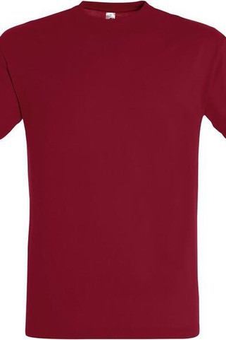 SOLS 11380 - Unisex Round Collar T-Shirt Regent
