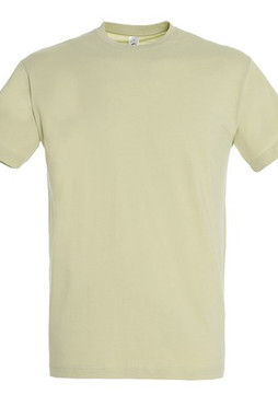 SOLS 11380 - REGENT Herren Rundhals T Shirt