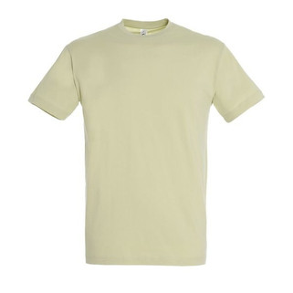 SOLS 11380 - Unisex Round Collar T-Shirt Regent