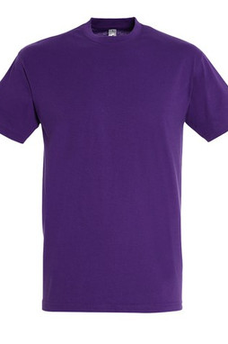 SOLS 11380 - REGENT Unisex Round Collar T Shirt