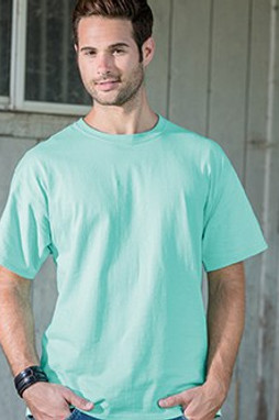 Hanes 5250 - Mens Authentic-T T-Shirt